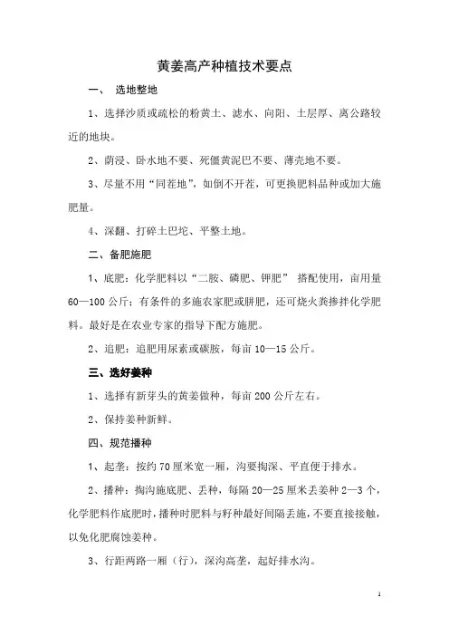 黄姜高产种植技术要点