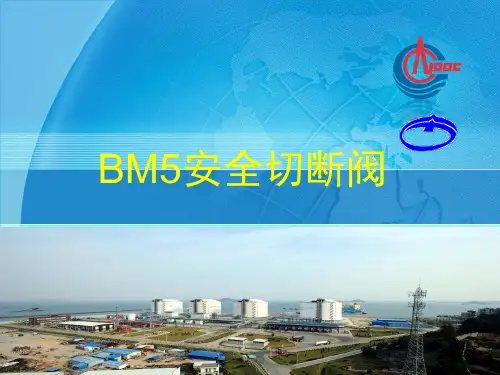 安全切断阀_BM5