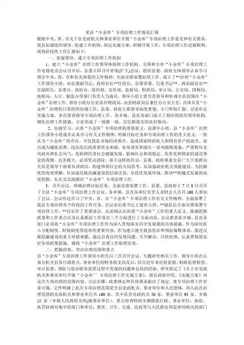 某县“小金库”专项治理工作情况汇报