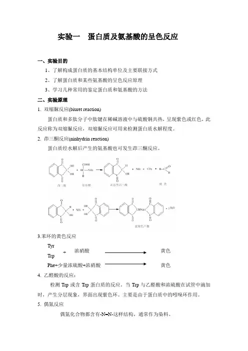 实验1  蛋白质及氨基酸的呈色反应