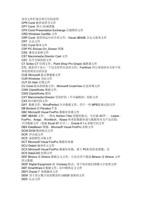 常用文件扩展名和它们的说明