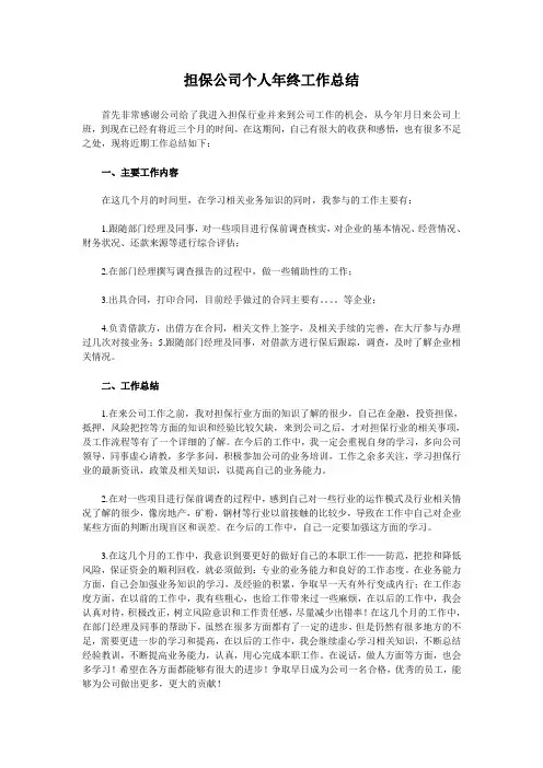 担保公司个人年终工作总结