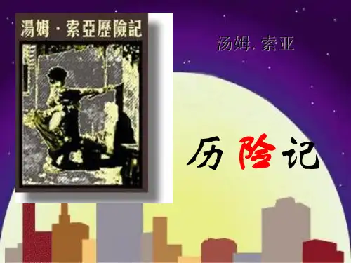《汤姆·索亚历险记》PPT 图文