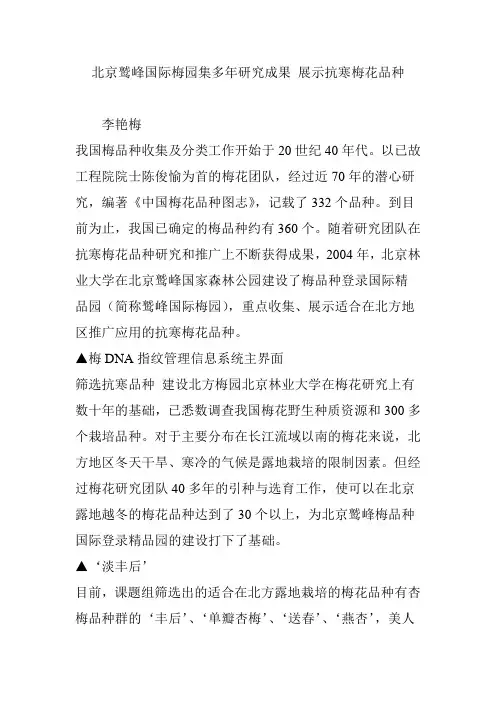 北京鹫峰国际梅园集多年研究成果 展示抗寒梅花品种