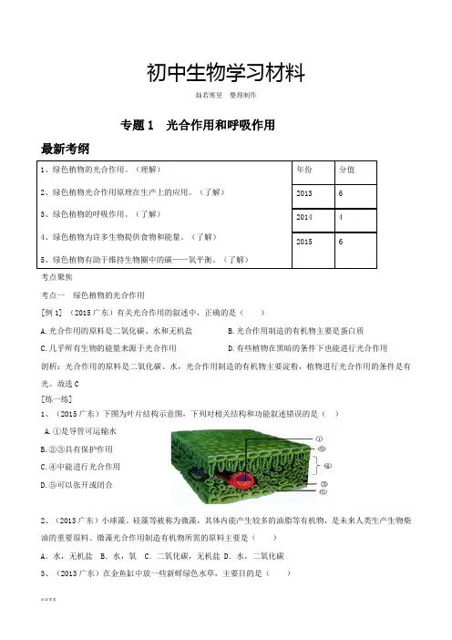 中考专题专题1  光合作用和呼吸作用