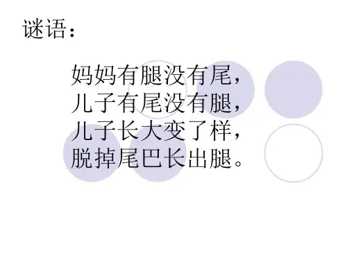 第四章 第七节 两栖类爬行类PPT课件
