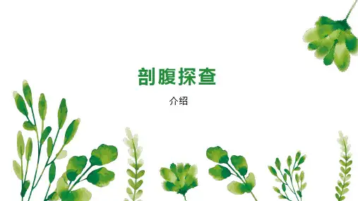 剖腹探查    