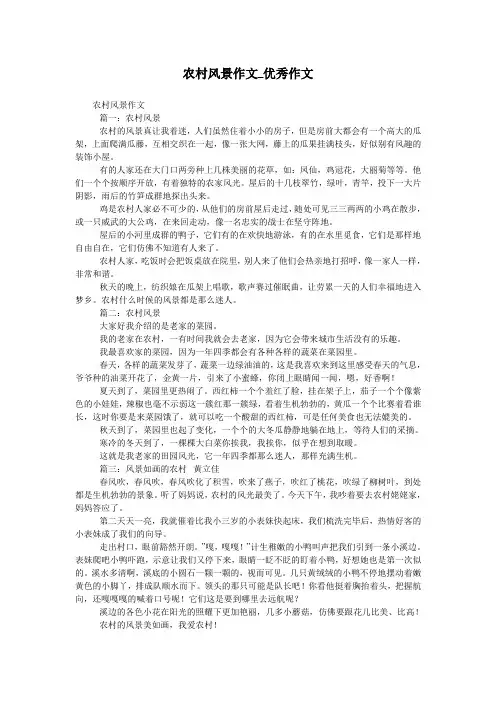 农村风景作文_优秀作文
