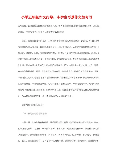小学五年级作文指导