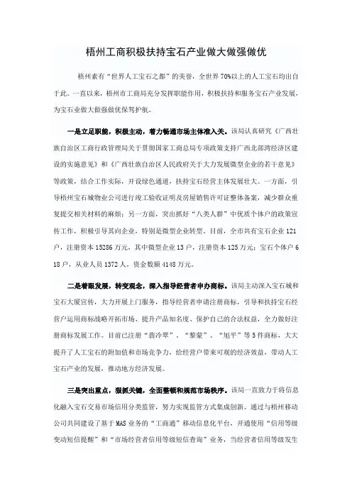 梧州工商积极扶持宝石产业做大做强做优
