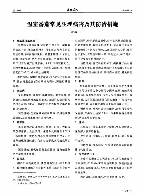 温室番茄常见生理病害及其防治措施