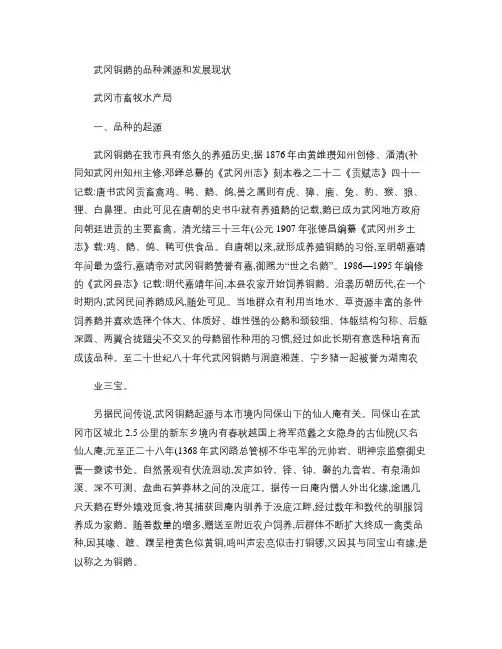 武冈铜鹅的品种渊源和发展现状概要