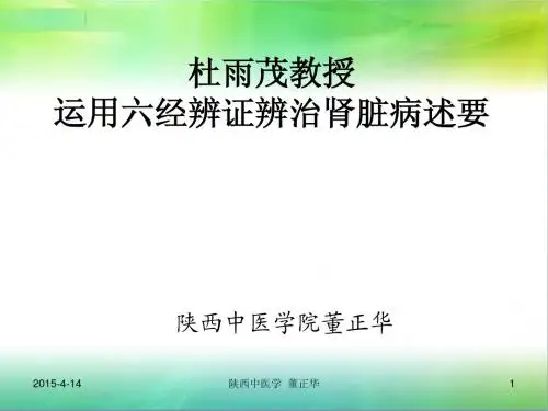 杜雨茂教授运用六经辨证辨治肾脏病述要