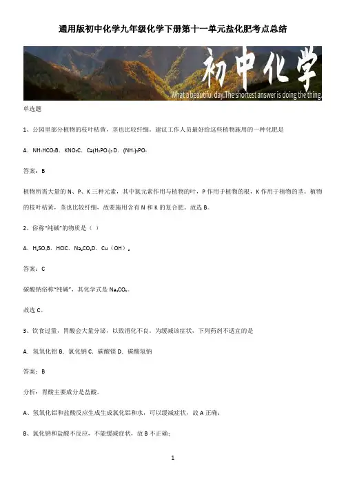 通用版初中化学九年级化学下册第十一单元盐化肥考点总结