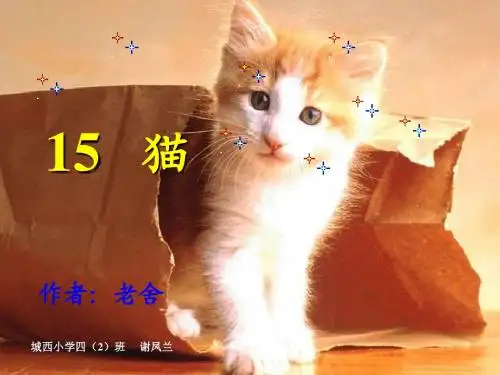 《15 猫》课件