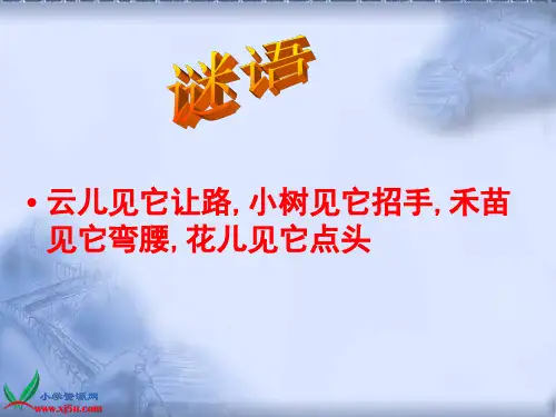 《自然风的形成》PPT课件