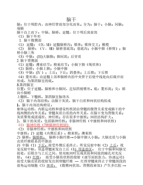 系统解剖学——中枢神经系统——1、脑干 期末复习重点