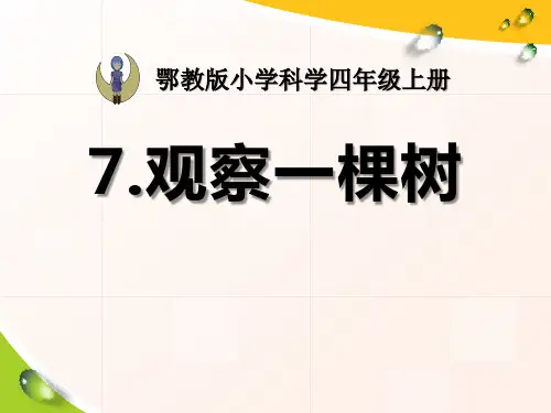 《观察一棵树》寻访校园里的动植物 PPT实用课件2