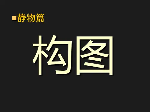 静物摄影构图