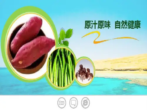 全国创新杯信息化大赛一等奖优秀欣赏幻灯片30页PPT