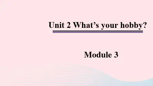 六年级英语上册 Module 3 Unit 2 What's your hobby课件