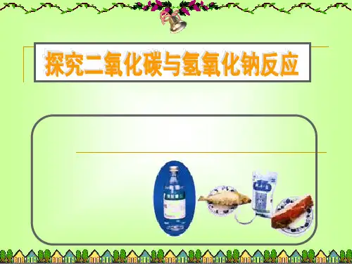 二氧化碳与氢氧化钠反应证明