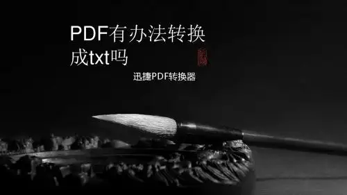 PDF有办法转换成txt吗