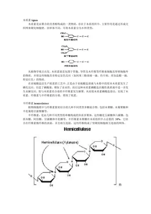 纤维素