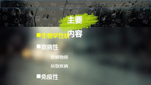 沙门氏菌主题医学知识