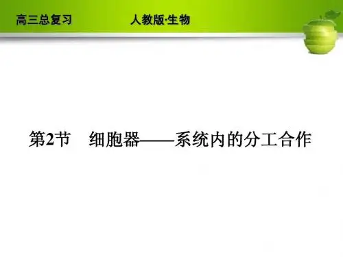 2012高考生物一轮复习(人教版)必修一课件6