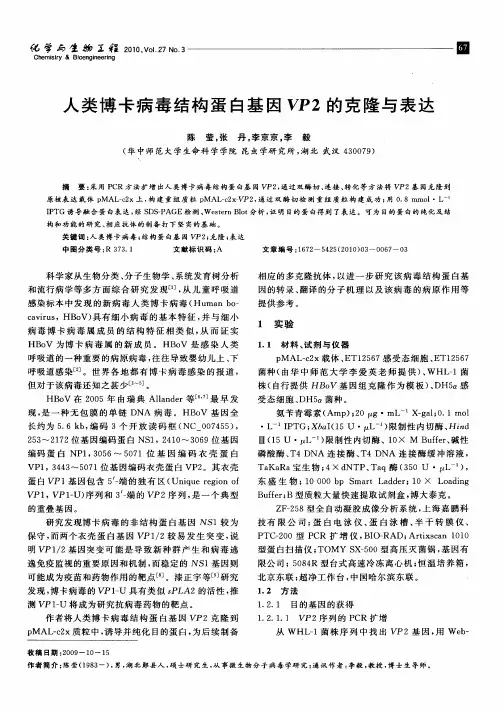 人类博卡病毒结构蛋白基因VP2的克隆与表达