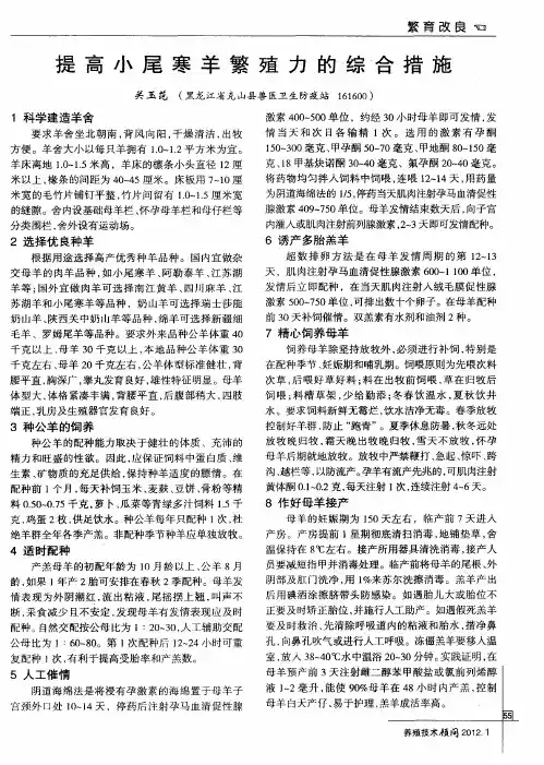 提高小尾寒羊繁殖力的综合措施