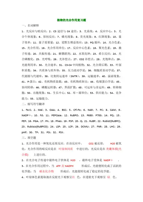 植物的光合作用复习题