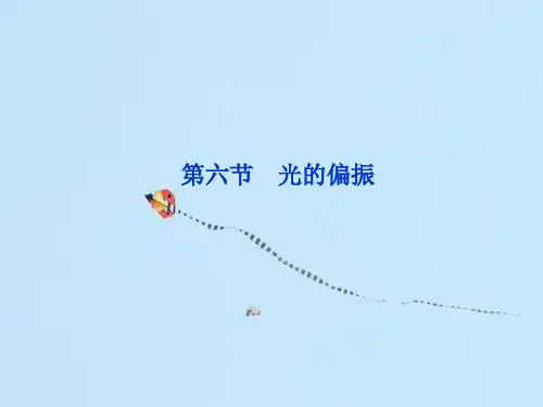 光的偏振PPT教学课件