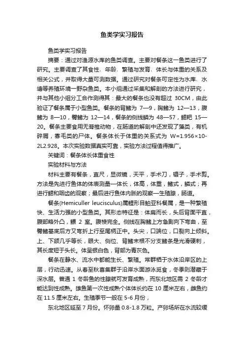 鱼类学实习报告