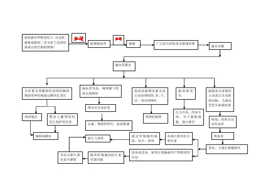 化脓性脑膜炎病理生理图