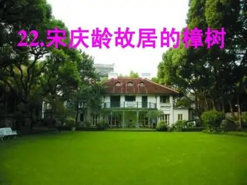 苏教语文四年级下   22 宋庆龄故居的樟树