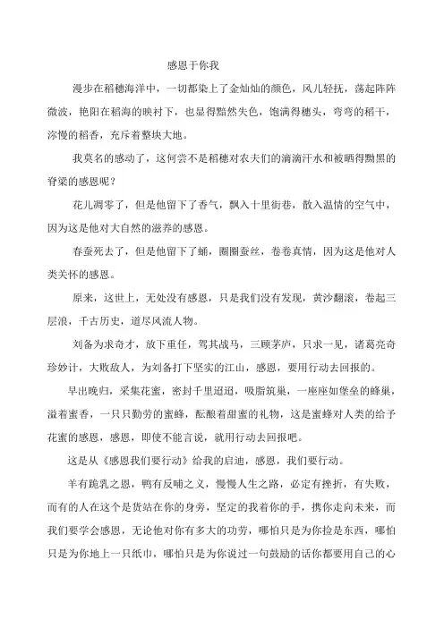感恩于你我