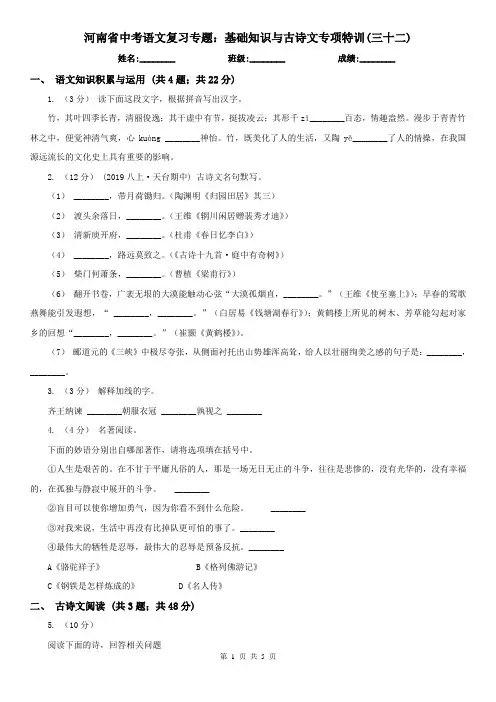 河南省中考语文复习专题：基础知识与古诗文专项特训(三十二)