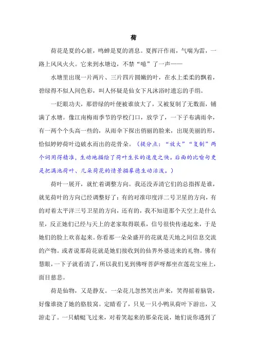《荷》优秀作文及点评
