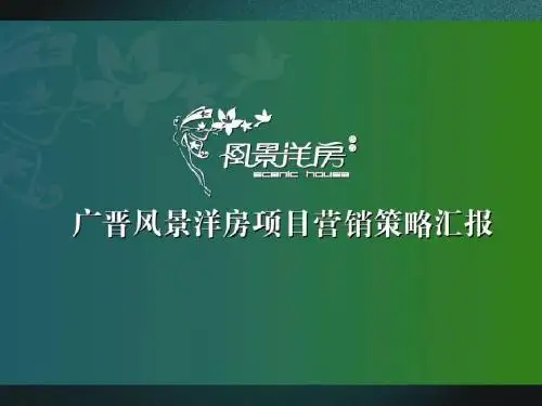 风景洋房项目营销策略VI14307787