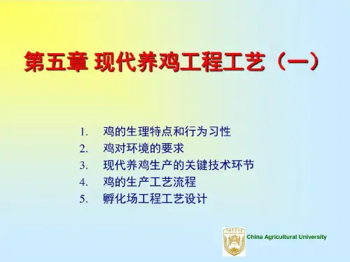 中农课件现代养鸡工程工艺共38页文档