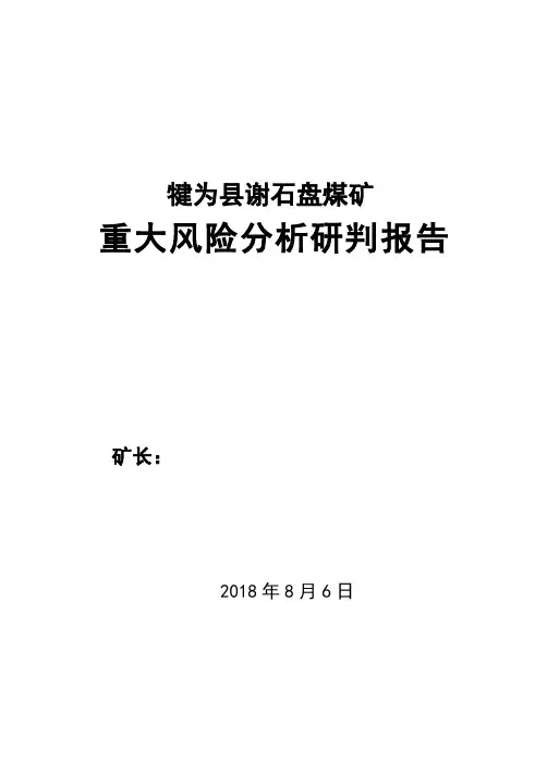 重大风险分析研判报告(终极版)