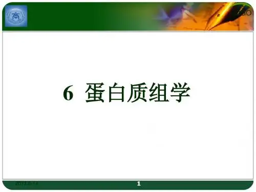 6蛋白质组学