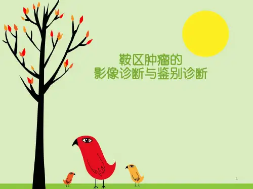 鞍区肿瘤的影像诊断与鉴别诊断精品PPT课件