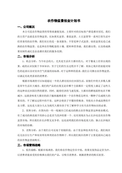 农作物盆景创业计划书