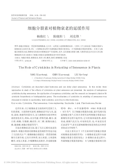 细胞分裂素对植物衰老的延缓作用