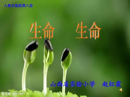 生命生命