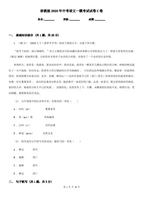 浙教版2020年中考语文一模考试试卷C卷