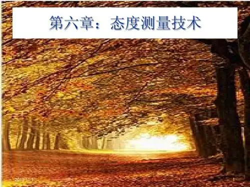 第六章 态度测量技术